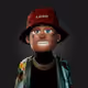 Willzoda