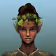 EnchantedValleyCollection