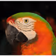 0x72b3f94225901207b4d87be68c9255cfd7c8b421