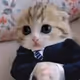 meowmeowmeoww
