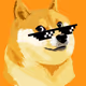 DOGEman12