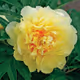 matpion.eth