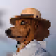 jarvisccc