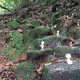 kodamaai