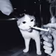drunkcigarettes