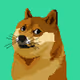 The_Doge_Collection