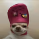 0xbamzy