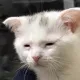 Matuch
