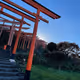TKG2