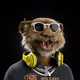yona_traitsniper_com