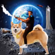 Cosmic_Willis