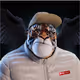 KINGZAKY