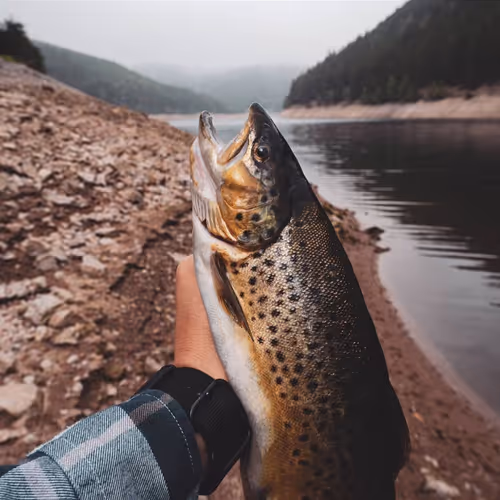 OpenSea profile picture for @Outdoors