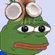 proud_holder_of_the_coconut_pepe
