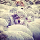 MM_Test25