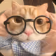 tomikadziakb