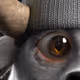 KarlDvz