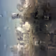 jroch_nfts