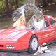 TehBossSquirrel