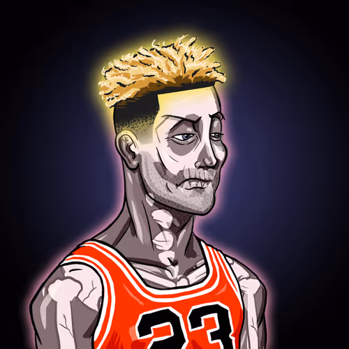 OpenSea profile picture for @Snowbank