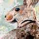 NAUSICAA