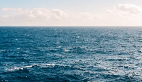 OpenSea banner for @Thurs