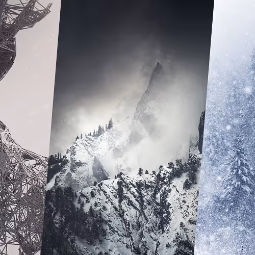 OpenSea banner for @YANK