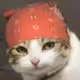 dougege