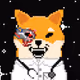 DOCTOR_SHIBARIUM