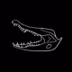 CrocodileCrew