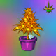 DrJpeg420