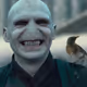 Vaultemort