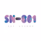 SN801_artstudio