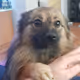 kyliecrypto