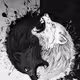 EWolf23