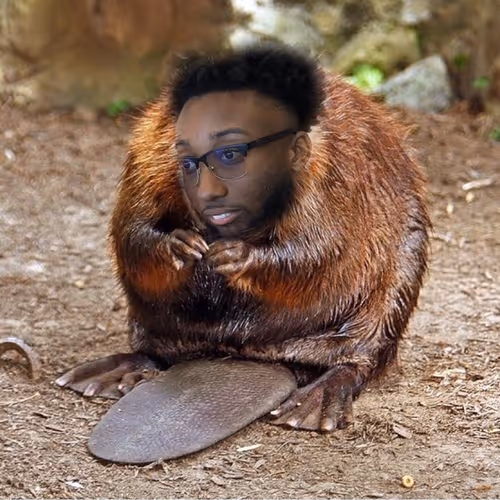 OpenSea profile picture for @Annoying