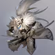 boombapbeple