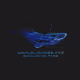 whaleloungedeployer