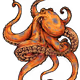 Seadude