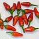 peppermadness