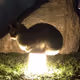 sub_