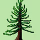 KingoftheForest