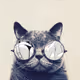CryptoKishR