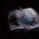 Nephilim13