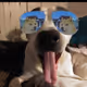 SecretNFTStash