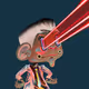 MaxMarkez