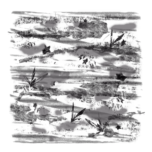 OpenSea banner for @draining