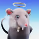 Everyhour