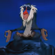 Rafiki_DD
