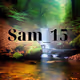 sam_15